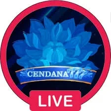 cendana777 Terbaru 2026: Download APK dan Review dan litetoto: Rangkuman Brand yang Banyak Dicari